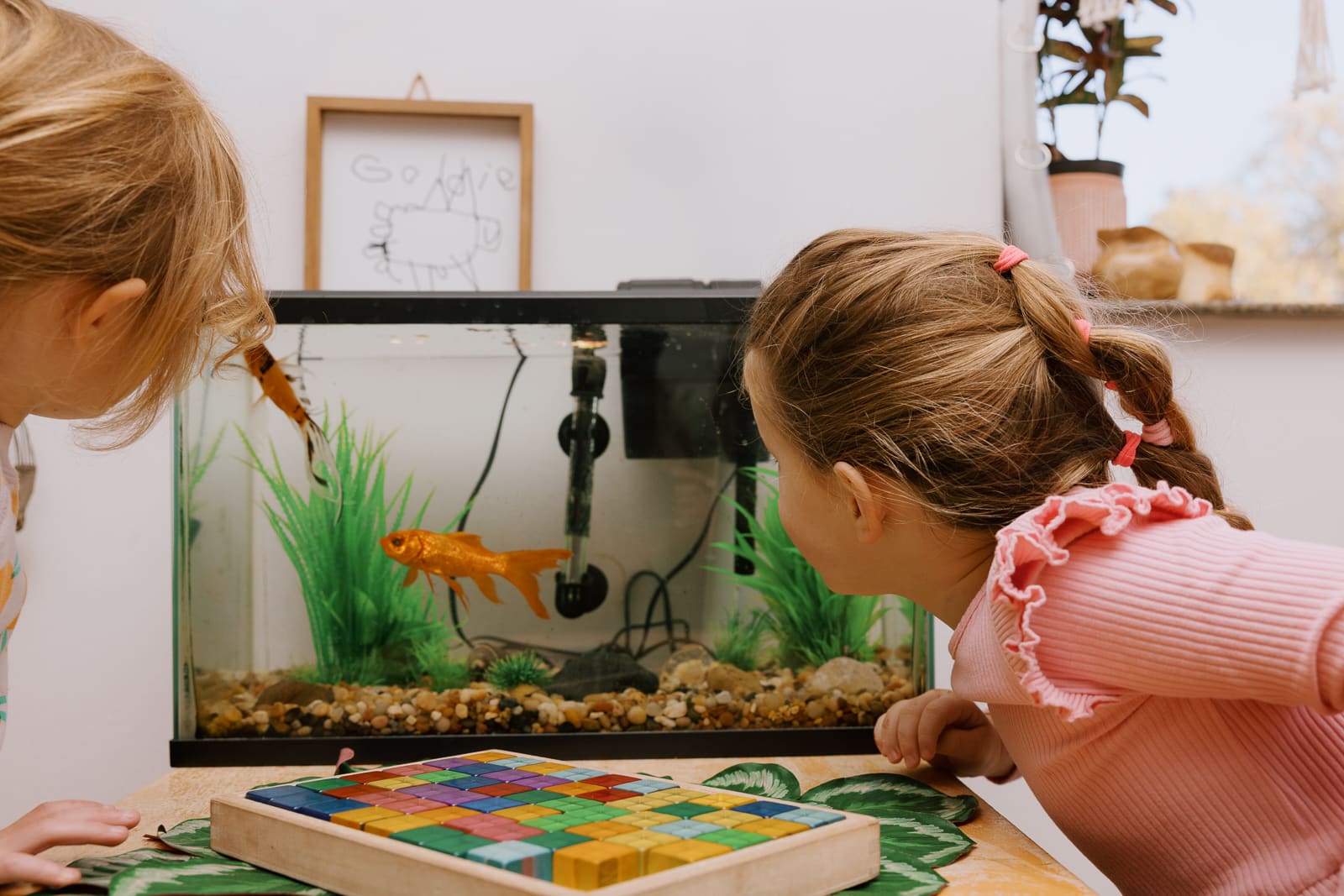 Eden Prairie Building